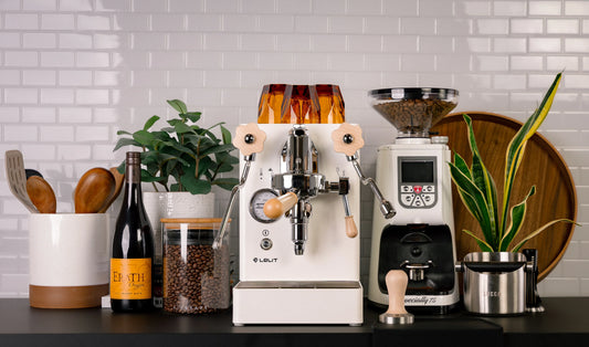 What is the size of Lelit Mara X portafilter?